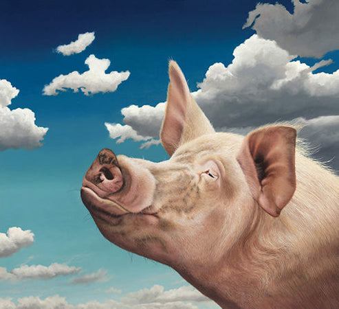 Winston Mounted Print on Paper by Artists Paul James