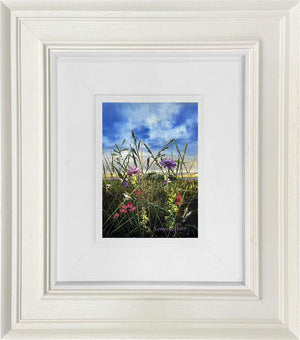 A Song in Every Stem by Kimberley Harris