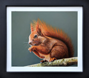 Amber by Martin Robson