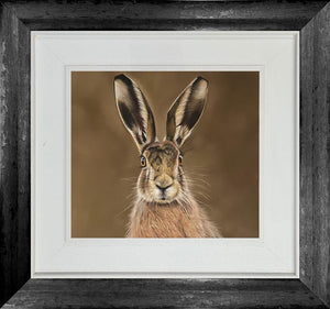 Autumn Gaze by Clare Parkes