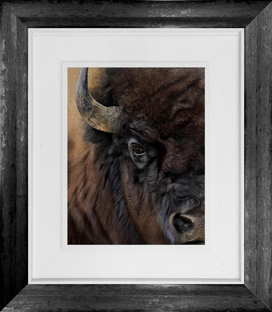Bison by Clare Parkes