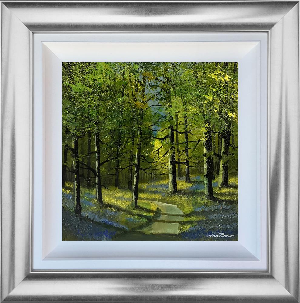 Bluebell Woods
