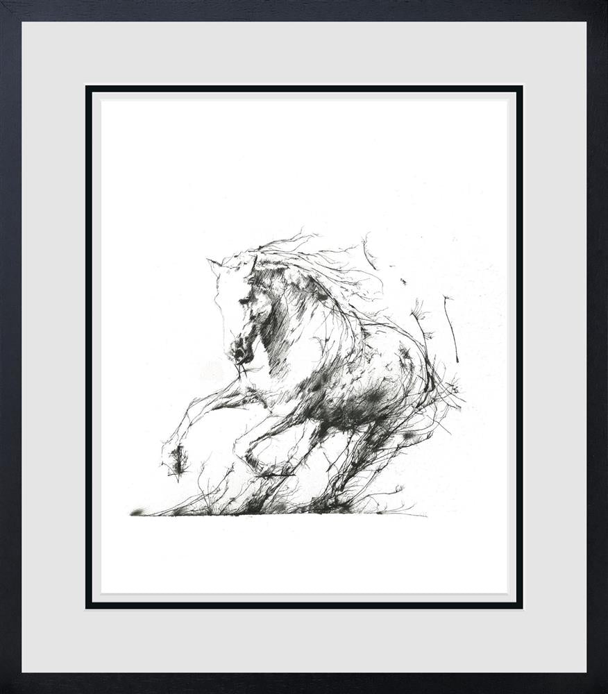 Freedom by Scott Tetlow