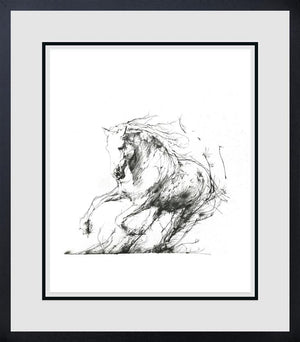 Freedom by Scott Tetlow