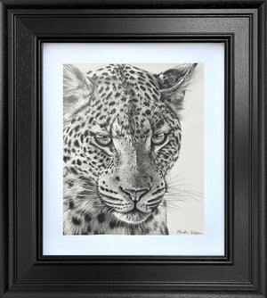 Into The Shadows - Study by Martin Robson