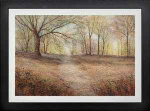 Into The Woods by Chris Bourne