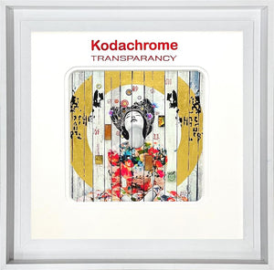 Kodachrome - Big Sky by The Trunk Of Funk