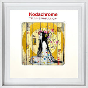Kodachrome - Featherstone by The Trunk Of Funk