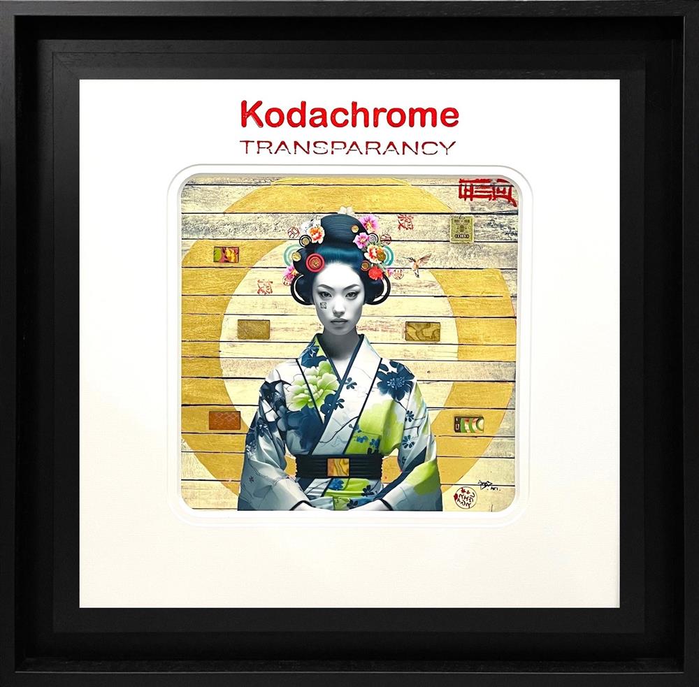 Kodachrome - To Have And To Hold by The Trunk Of Funk