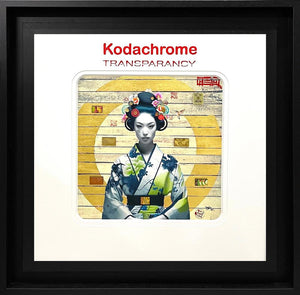 Kodachrome - To Have And To Hold by The Trunk Of Funk