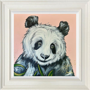 Miss Perfect by Amy Louise