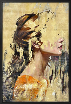 Shrouded Glance - The Hidden Side by Sannib