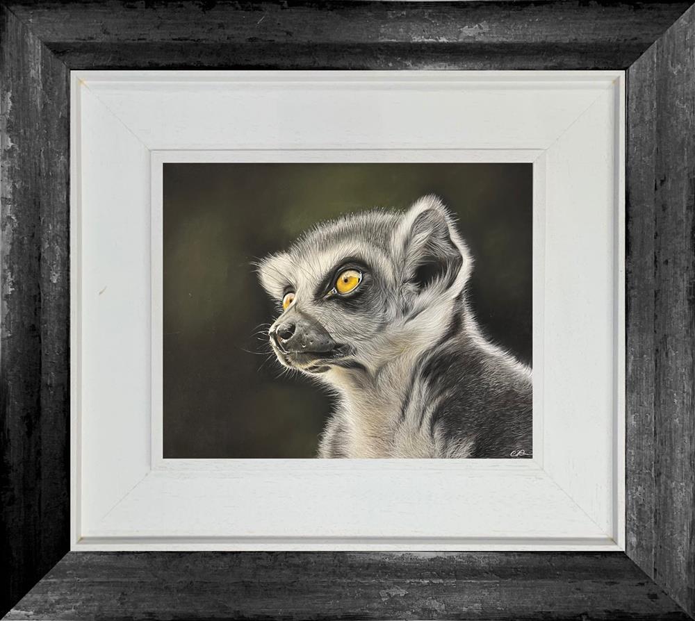 Night Watch by Clare Parkes