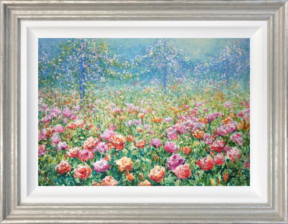 Roses and Pergolas by Mariusz Kaldowski