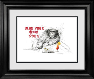 Slow Your @%#! Down by Scott Tetlow