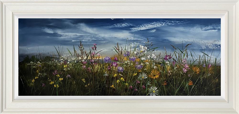 Sunlit Meadow Blossoms