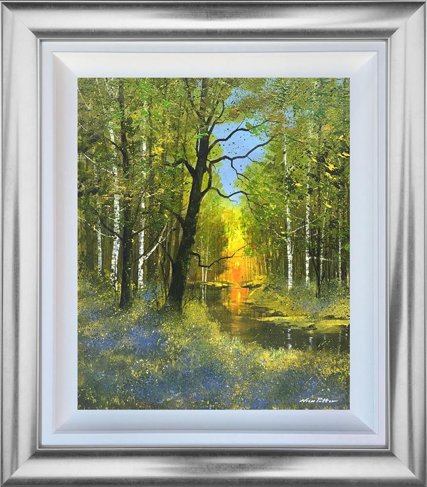 Sunset and Bluebells