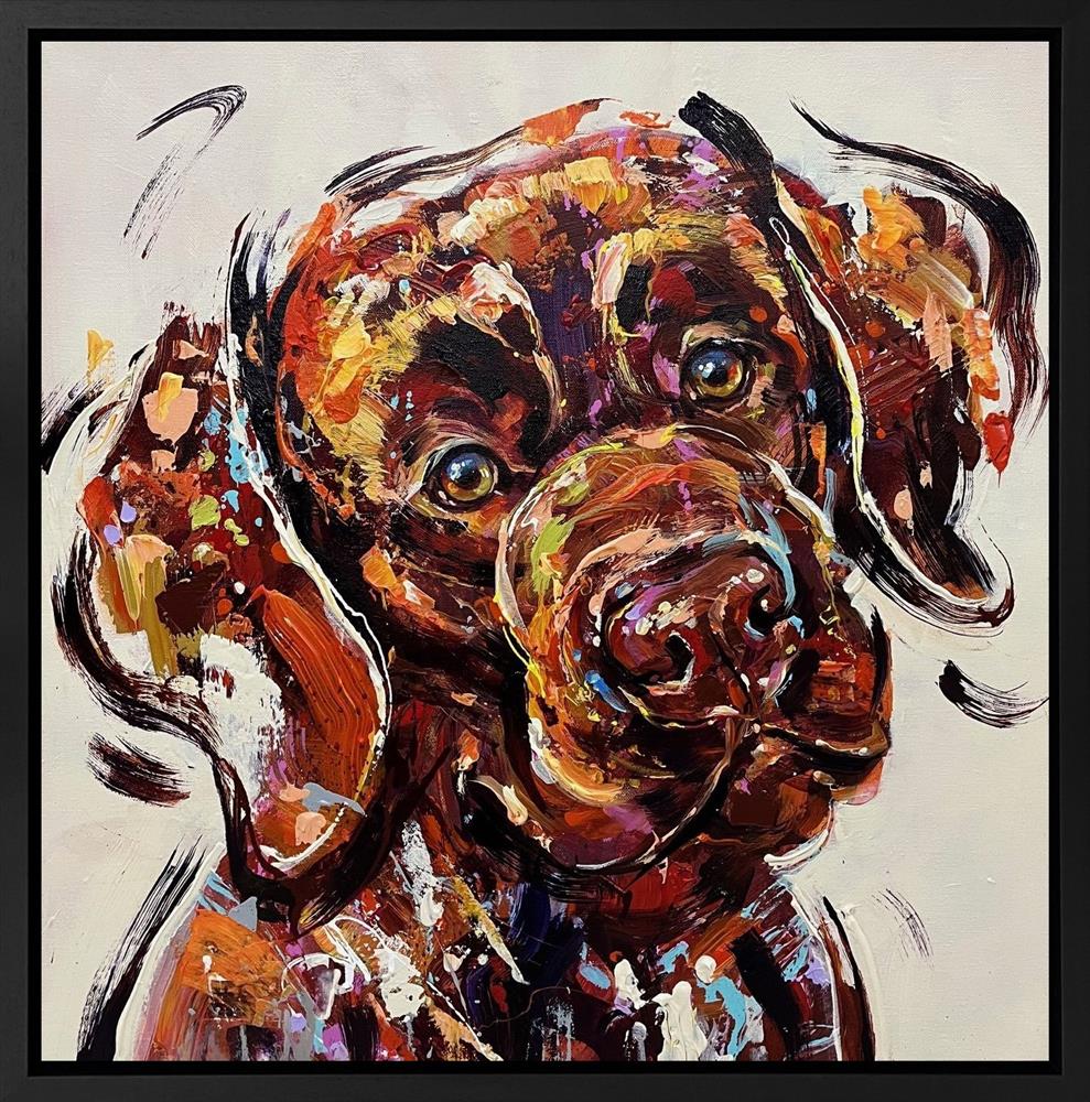 The Gentleman’s Gaze