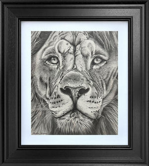 The King - Study by Martin Robson