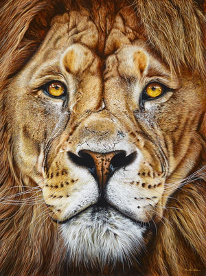 The King by Martin Robson