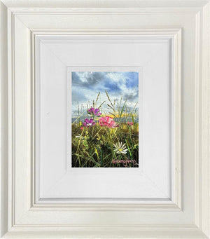 The Meadow Dreams by Kimberley Harris