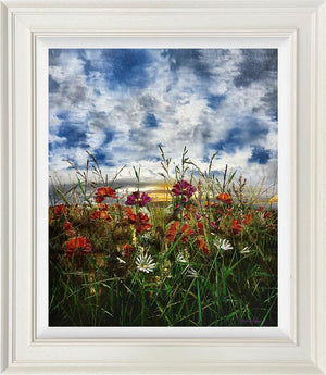 Veil of Colour by Kimberley Harris