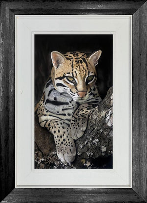 Waiting For Dusk by Clare Parkes