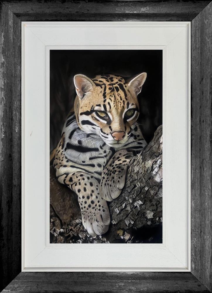 Waiting For Dusk by Clare Parkes