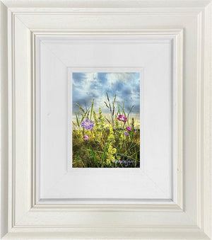 Wild Grace by Kimberley Harris