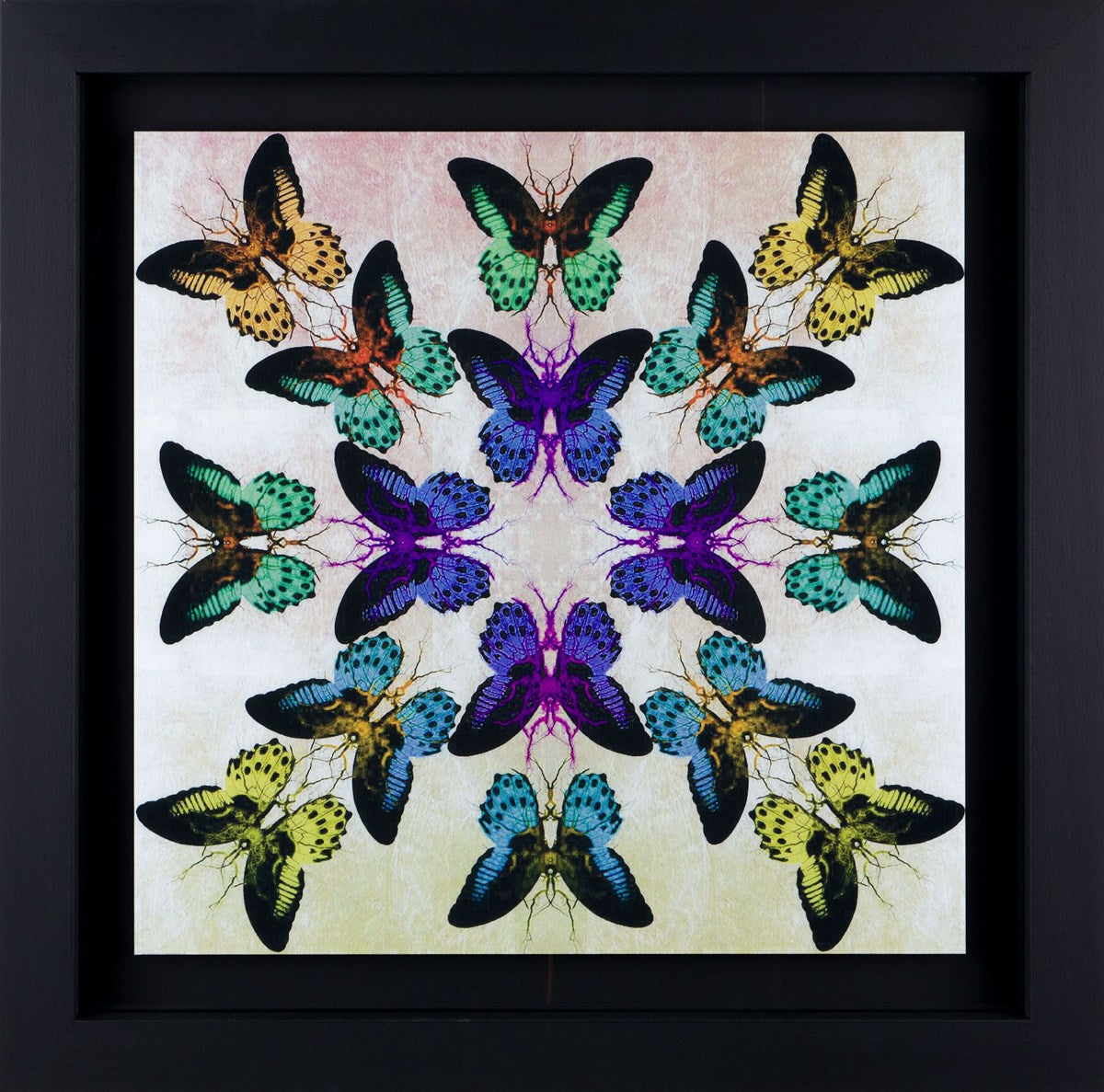 Collide Framed Signed Limited Edition Lenticular Print on Paper by Artist Maxim