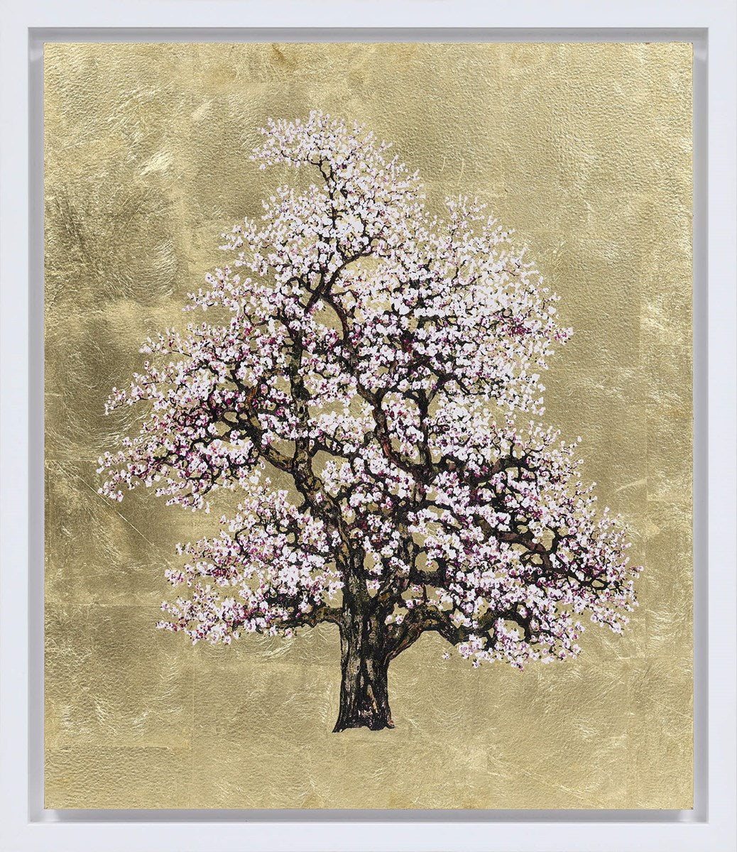 Gilded Blossom Framed Signed Limited Edition Mixed Media Print by Artist Jack Frame
