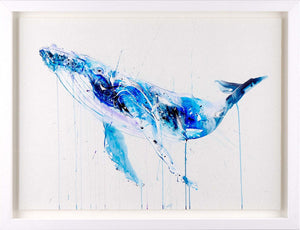 Humpback Whale Framed Signed Limited Edition Print on Paper by Artist Dave White