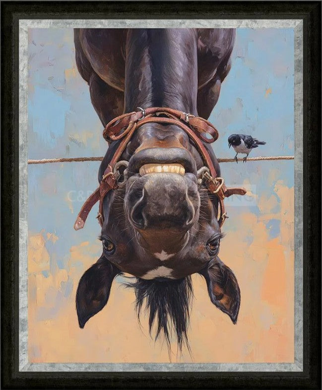 Hung Like A Horse Framed Signed Limited Edition Print on Board by Artist Boid