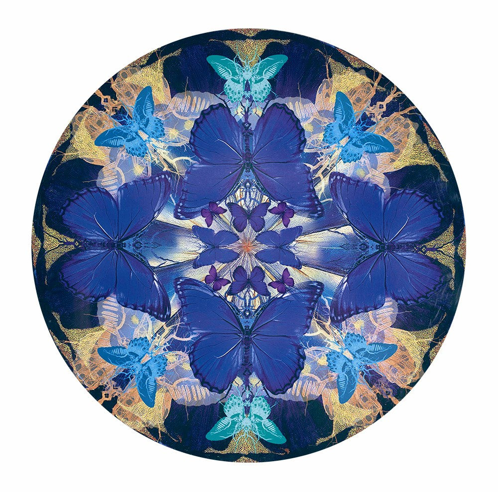 Reborn Limited Edition Dye Sublimation Print on Board by Artist Maxim