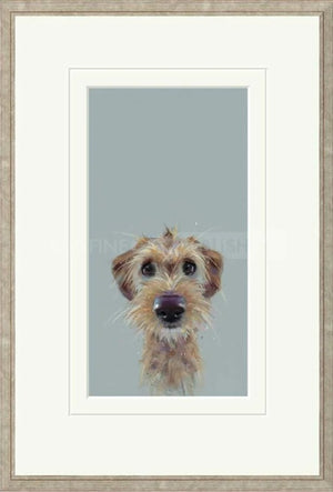 Scruff Signed Framed Limited Edition Print on Paper by Artist Nicky Litchfield