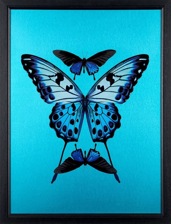 Transcend Framed Signed Limited Edition Print on Aluminium by Artist Maxim