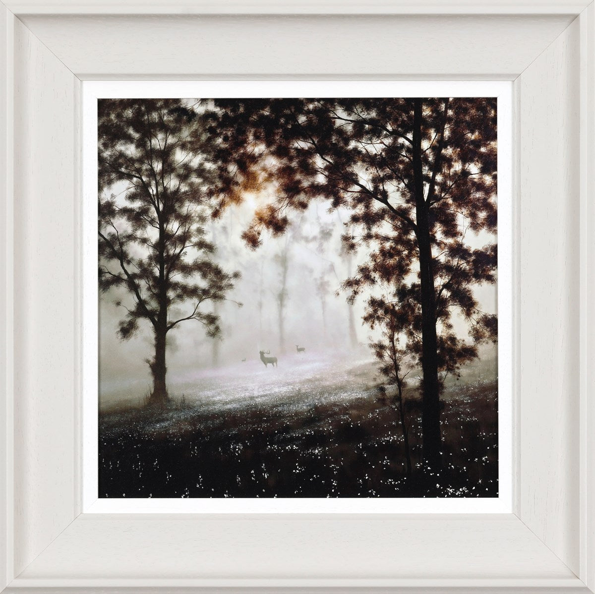 Woodland Harmony Framed Limited Edition Print on Board by Artist John Waterhouse