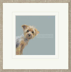 Yorkie Signed Framed Limited Edition Print on Paper by Artist Nicky Litchfield