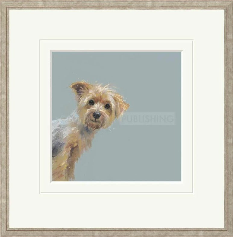 Yorkie Signed Framed Limited Edition Print on Paper by Artist Nicky Litchfield